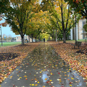 Meet your Posher, Reeghan